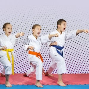 Martial Arts Lessons for Kids in Fort Dodge IA - Punching Focus Kids Sync